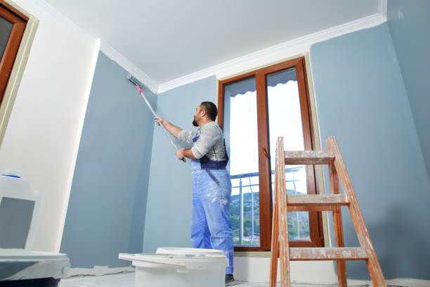 Best Basement Mold Removal  in Willow Grove, TX