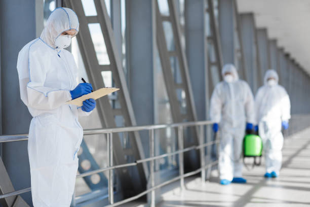 Best Asbestos and Lead Testing During Mold Inspection  in Willow Grove, TX